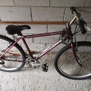 Raleigh mountain bike